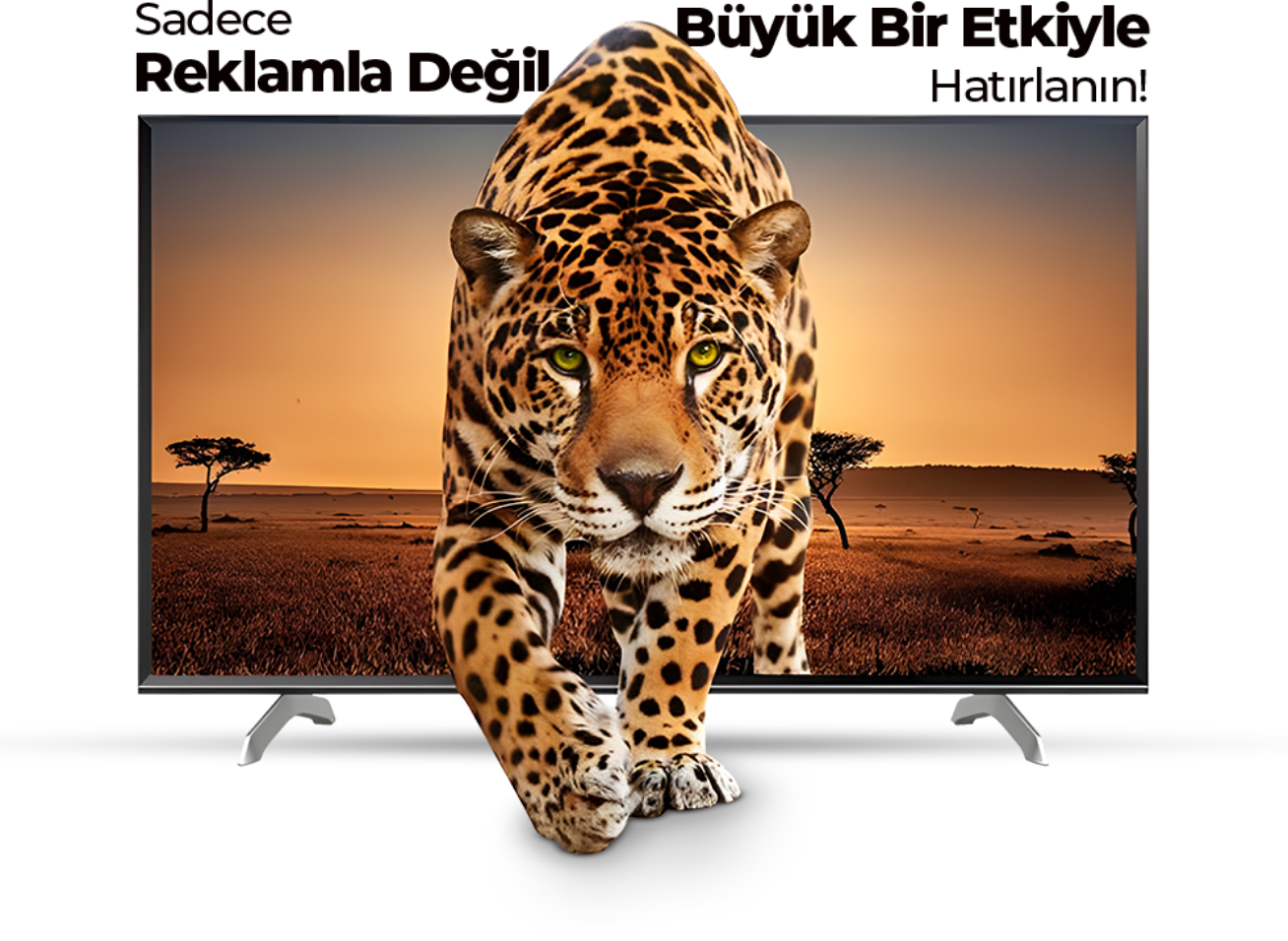 Tv Reklamları 30 tv rek